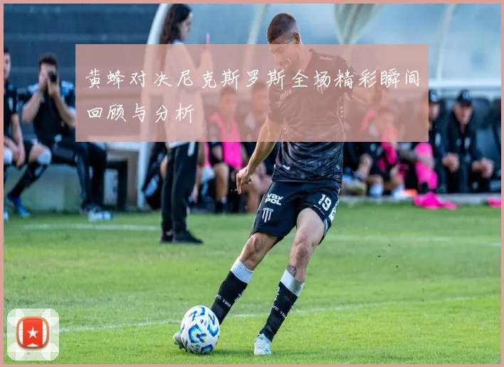 黄蜂对决尼克斯罗斯全场精彩瞬间回顾与分析